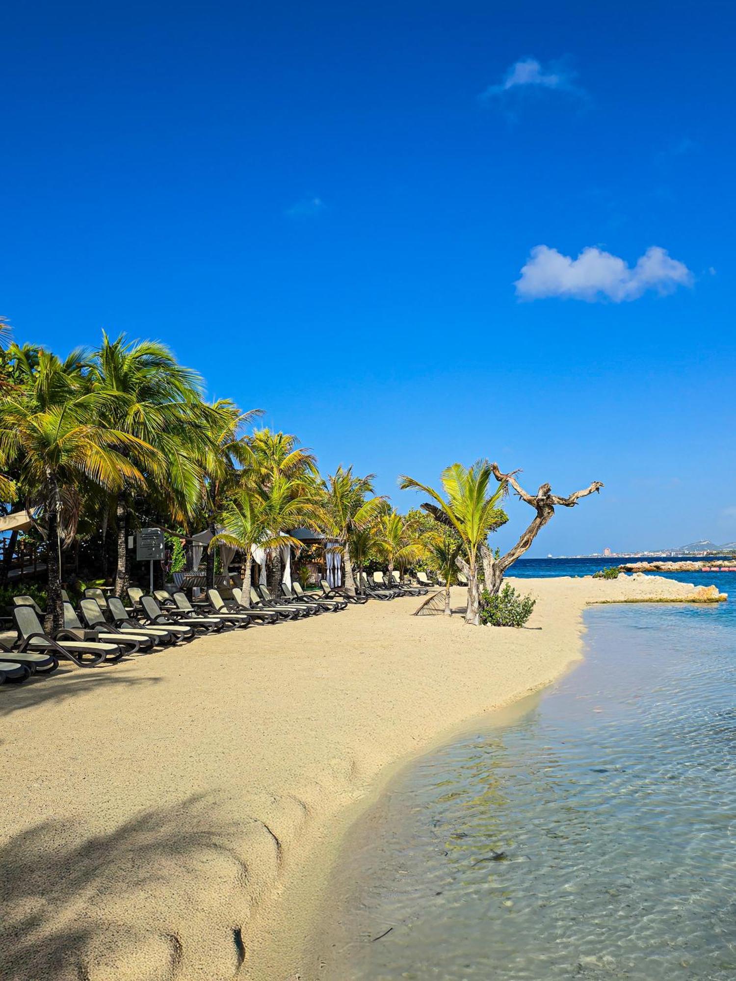 The Royal Sea Aquarium Resort Willemstad Bagian luar foto